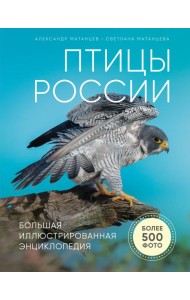 Птицы России. Большая иллюстрированная энциклопедия