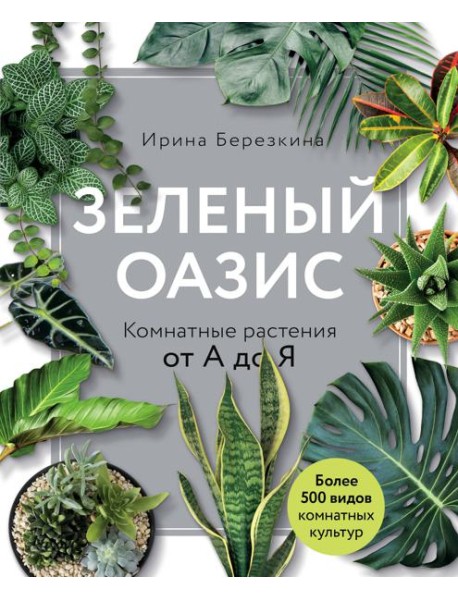 Зеленый оазис. Комнатные растения от А до Я