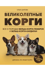 Великолепные корги. Все о породах вельш-корги-пемброк и вельш-корги-кардиган
