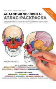Анатомия человека: атлас-раскраска