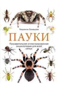 Пауки. Познавательная иллюстрированная энциклопедия для всей семьи
