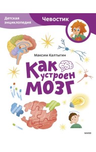 Как устроен мозг. Детская энциклопедия (Чевостик) (Paperback)