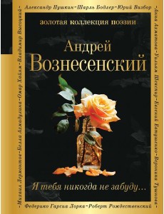 Я тебя никогда не забуду…: сборник стихов Я тебя никогда не забуду…: сборник стихов