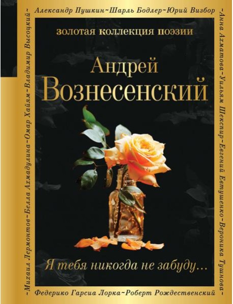 Я тебя никогда не забуду…: сборник стихов