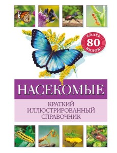 Насекомые. Краткий иллюстрированный справочник Насекомые. Краткий иллюстрированный справочник
