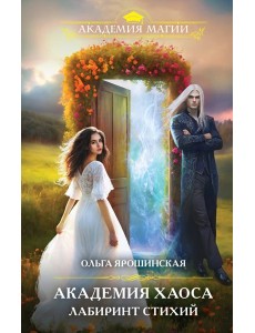 Академия хаоса. Лабиринт стихий Академия хаоса. Лабиринт стихий