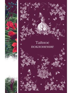 Тайное поклонение