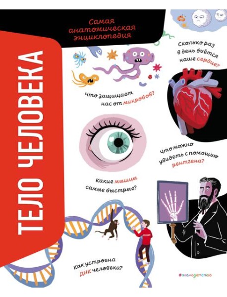 Тело человека. Самая анатомическая энциклопедия