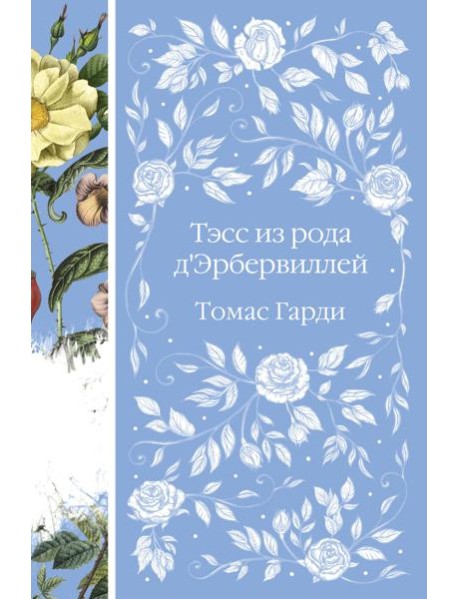 Тэсс из рода д'Эрбервиллей