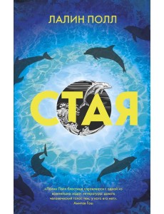 Стая Стая