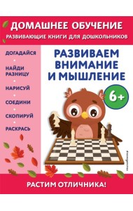 Развиваем внимание и мышление: для детей от 6 лет