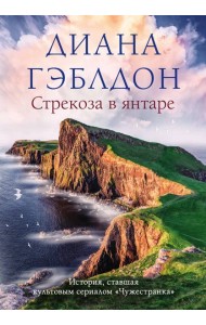 Стрекоза в янтаре