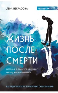 Жизнь после смерти. История о том, что нас ждёт между воплощениями