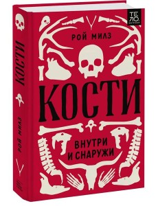 Кости: внутри и снаружи