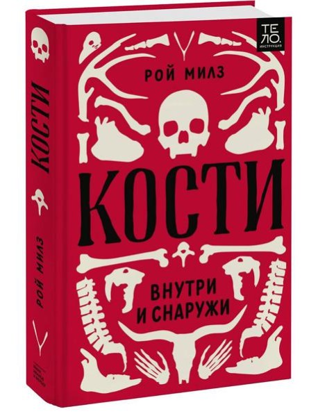 Кости: внутри и снаружи