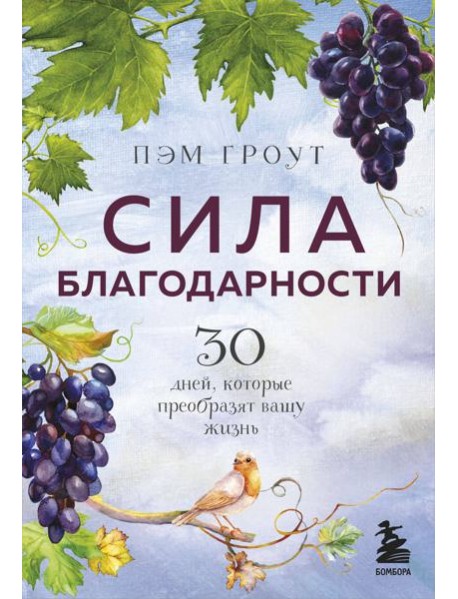 Сила благодарности. 30 дней, которые преобразят вашу жизнь