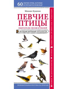 Певчие птицы. Обитатели лесов и полей Певчие птицы. Обитатели лесов и полей