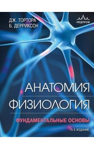 Анатомия. Физиология. Фундаментальные основы. 15-е издание