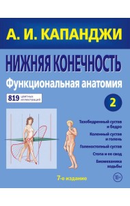 Нижняя конечность. Функциональная анатомия. Т. 2. 7-е изд