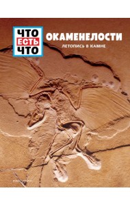 ОКАМЕНЕЛОСТИ. Летопись в камне