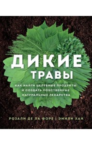 Дикие травы: как найти целебные продукты и создать собственные натуральные лекарства