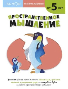 Развитие мышления. Пространственное мышление Развитие мышления. Пространственное мышление