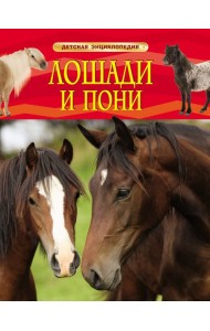 Лошади и пони