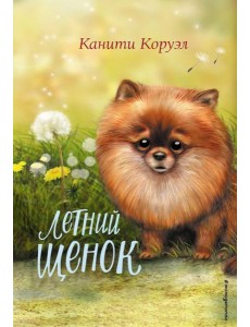 Летний щенок Летний щенок