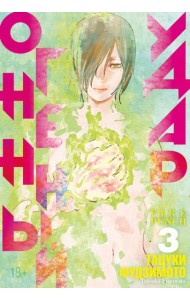 Огненный удар. Книга 3