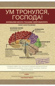 Ум тронулся, господа! Аномалии мозга глазами нейробиолога