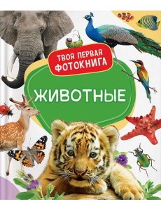 Животные Животные