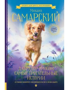 Лабрадор Трисон. Самые трогательные истории