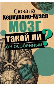 Мозг. Такой ли он особенный?
