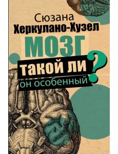 Мозг. Такой ли он особенный?