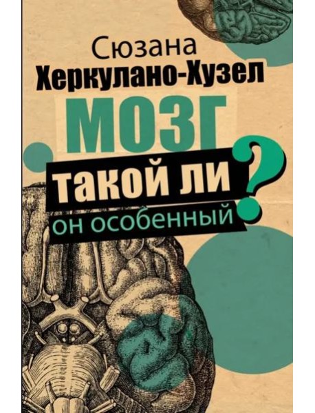 Мозг. Такой ли он особенный?
