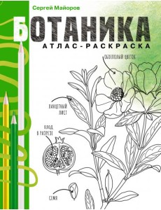 Ботаника. Атлас-раскраска Ботаника. Атлас-раскраска