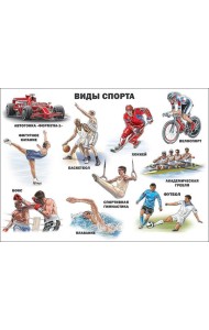 Виды Спорта