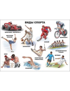 Виды Спорта