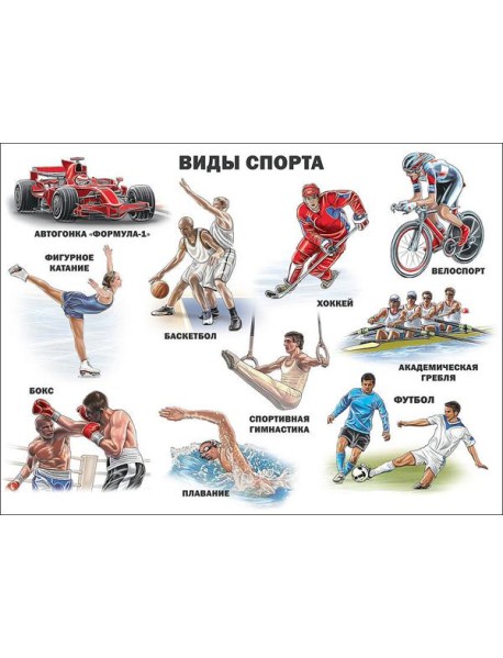 Виды Спорта