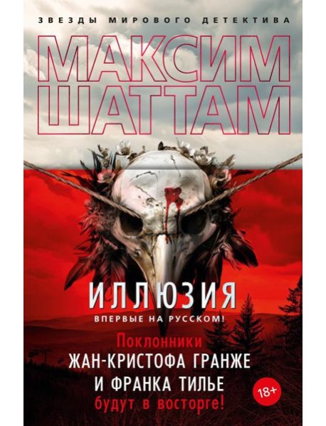 Иллюзия: роман