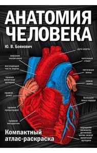 Анатомия человека: компактный атлас-раскраска