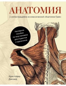 Анатомия. С иллюстрациями из классической "Анатомии Грея" Анатомия. С иллюстрациями из классической "Анатомии Грея"