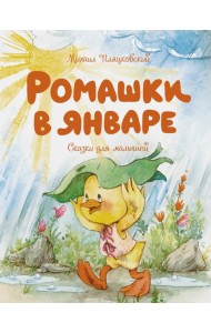 Ромашки в январе