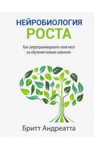 Нейробиология роста: как запрограммировать свой мозг на обучение новым навыкам