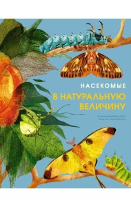 Насекомые в натуральную величину