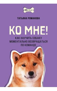 Ко мне! Как научить собаку моментально возвращаться по команде