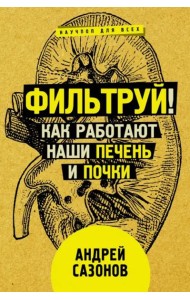 Фильтруй! Как работают наши печень и почки