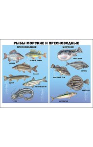 Рыбы морские и пресноводные (плакат)