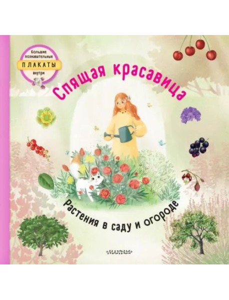 Спящая красавица