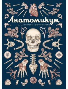 Анатомикум